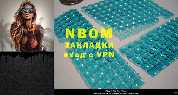 прущие грибы Алзамай