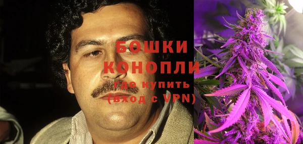 прущие грибы Алзамай