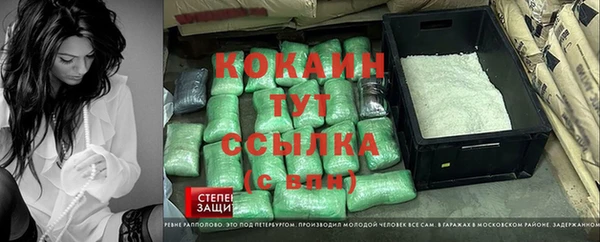 прущие грибы Алзамай