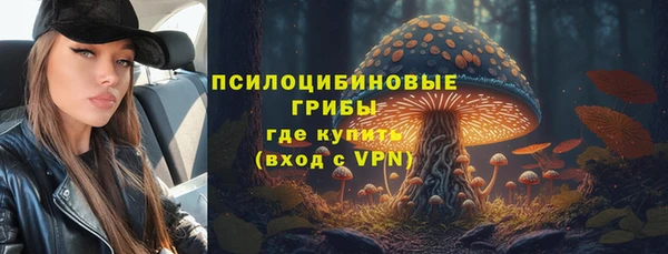 бутират Алексин