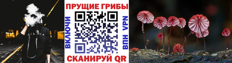 даркнет сайт  Курганинск  Галлюциногенные грибы MAGIC MUSHROOMS 