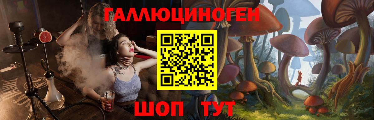 Галлюциногенные грибы GOLDEN TEACHER Курганинск