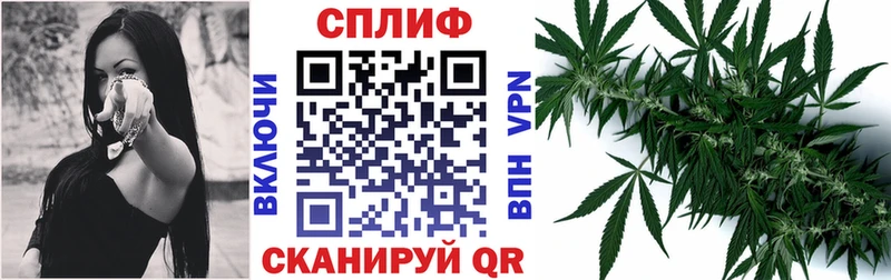 Канабис VHQ  где купить   Курганинск 